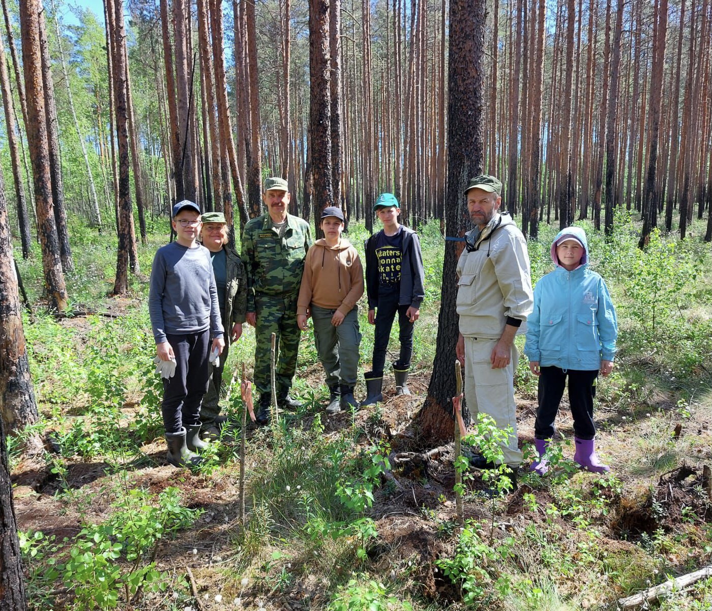 Взаимодействие со школьными лесничества Ленинградской области